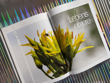 Sophie #05 Frühling 26