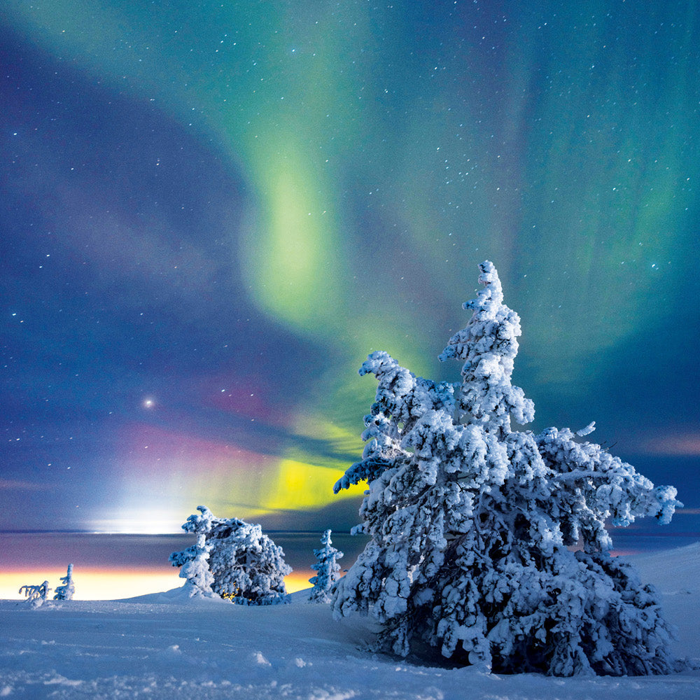 Neues aus der Forschung