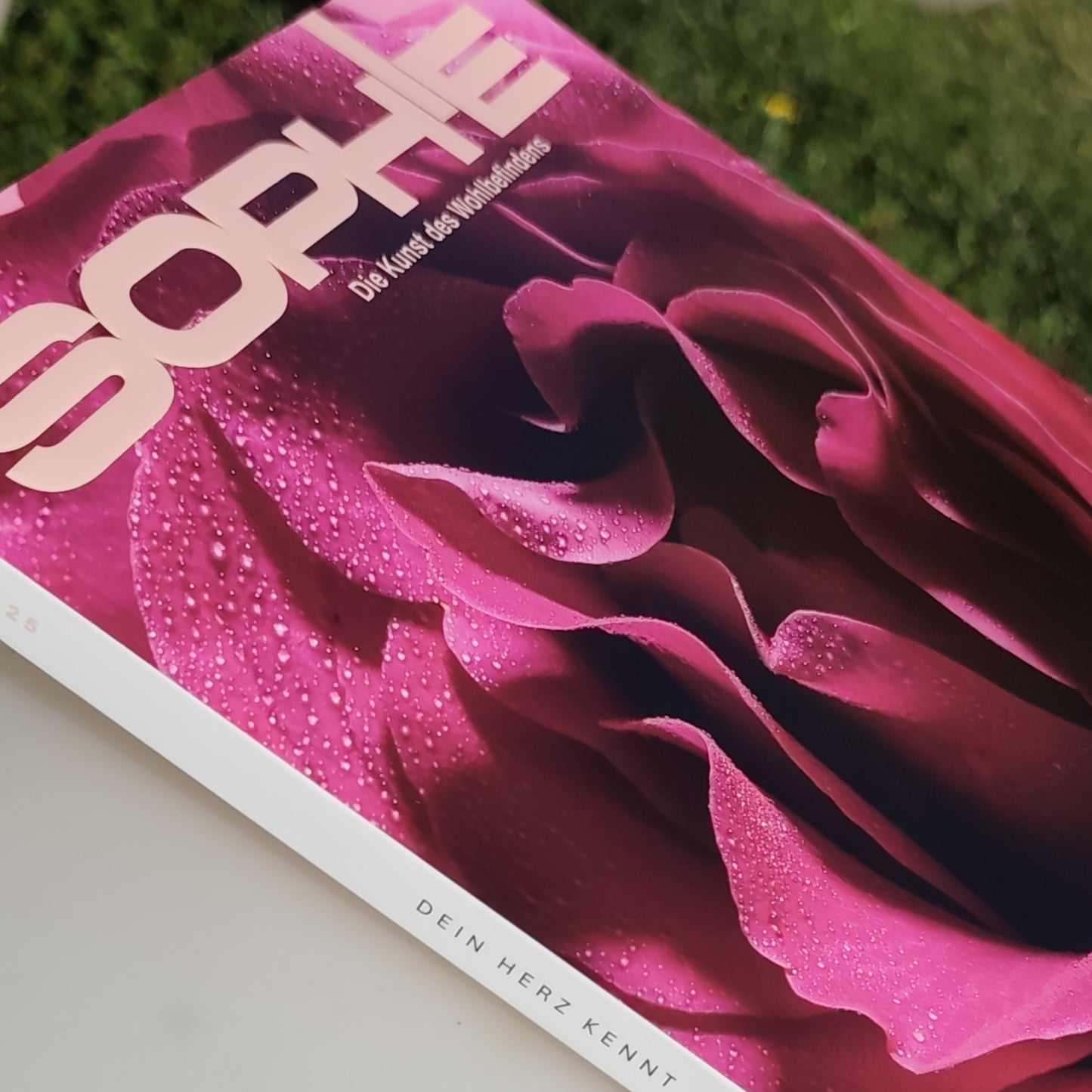 Sophie #02 Sommer 25