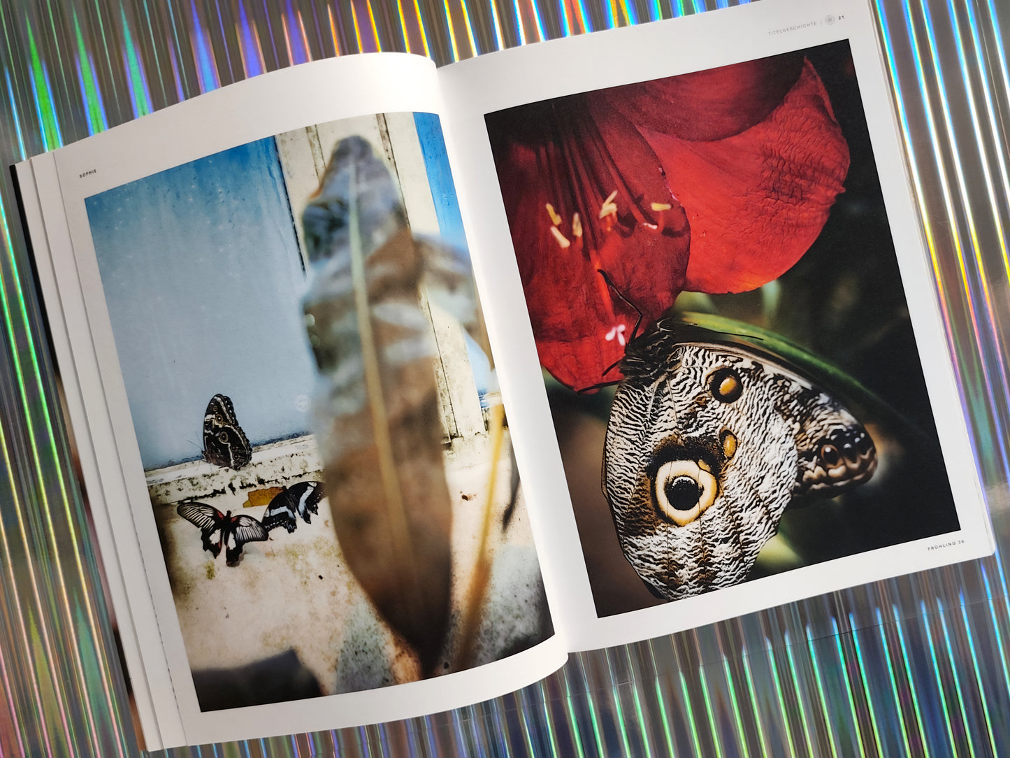 Sophie #05 Frühling 26